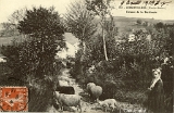 Corravillers. - Fermes de la Bertincote